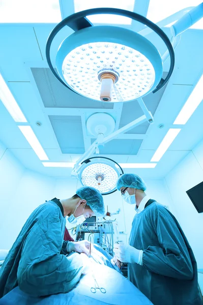 Dos veterinarios en quirófano —  Fotos de Stock