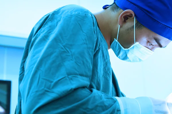 Cirugía veterinaria en sala de operaciones — Foto de Stock