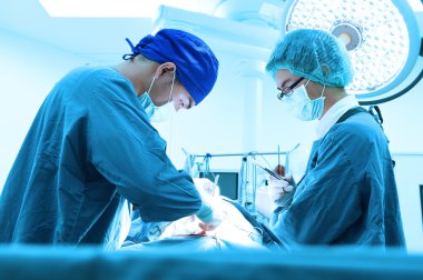 Ameliyathanede iki veteriner cerrah var. 