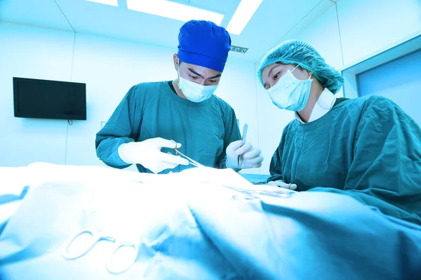 Twee dierenartsen in de operatiekamer — Stockfoto