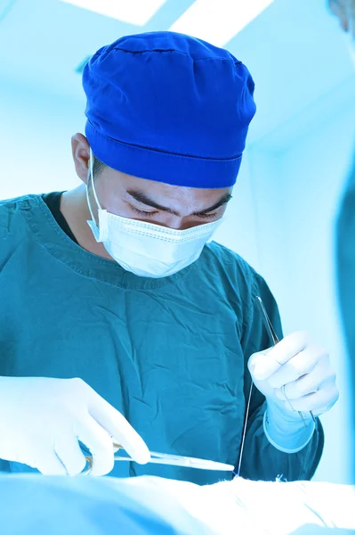 Cirugía veterinaria en sala de operaciones — Foto de Stock