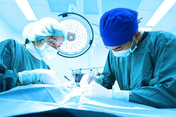 two veterinarian surgeons in operating room 