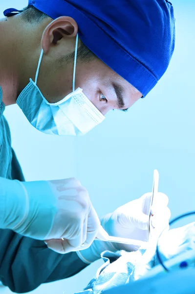 Veterinarian surgery in operation room — Stock Photo, Image