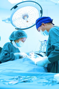 Ameliyathanede iki veteriner cerrah var.