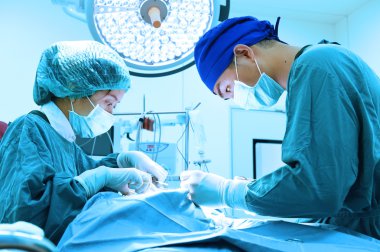 Ameliyathanede iki veteriner cerrah var.