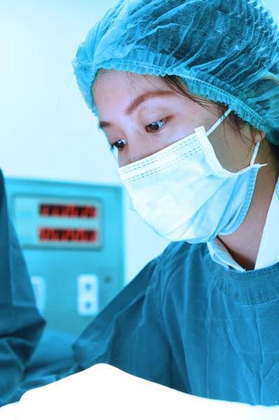 Cirugía veterinaria en sala de operaciones — Foto de Stock