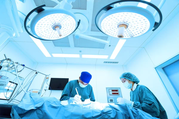 two veterinarian surgeons in operating room