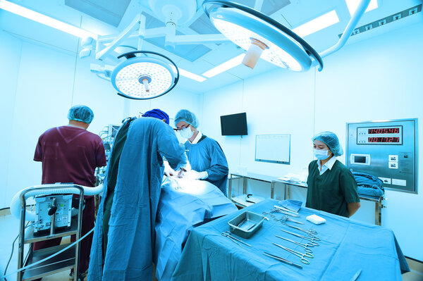 Группа ветеринарной хирургии в операционной
 