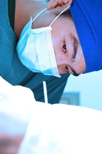 Cirugía veterinaria en sala de operaciones —  Fotos de Stock