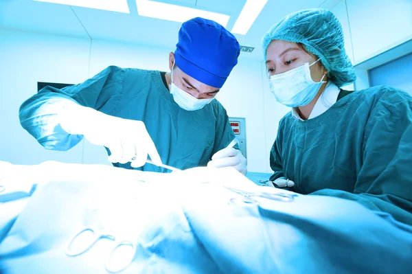 Dois cirurgiões veterinários na sala de operações — Fotografia de Stock