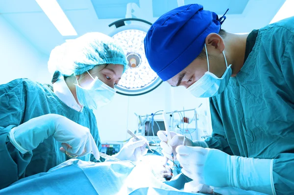 Dois cirurgiões veterinários na sala de operações — Fotografia de Stock