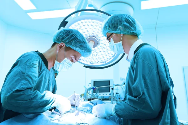 Dois cirurgiões veterinários na sala de operações — Fotografia de Stock