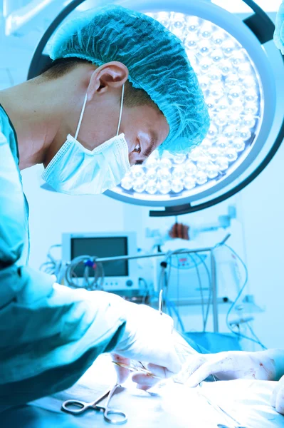 Cirugía veterinaria en sala de operaciones — Foto de Stock