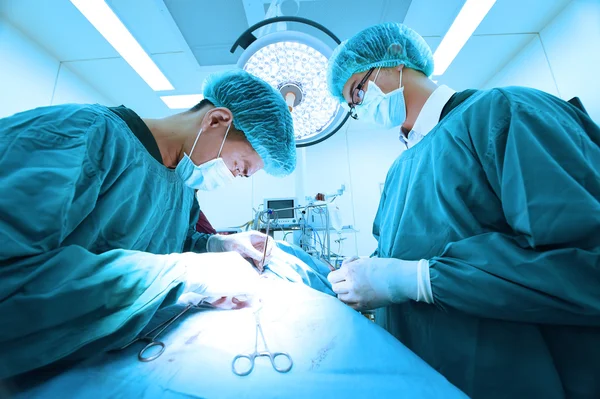 Two veterinarian surgeons in operating room — Stock Photo, Image