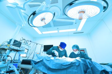 Ameliyathanede iki veteriner cerrah var. 