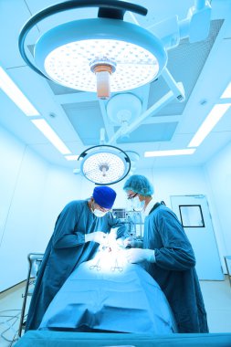 Ameliyathanede iki veteriner cerrah var. 