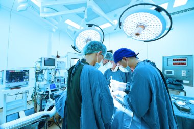 Veteriner Cerrahi operasyon odasında grup 