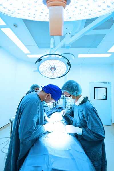 Dois cirurgiões veterinários na sala de operações — Fotografia de Stock