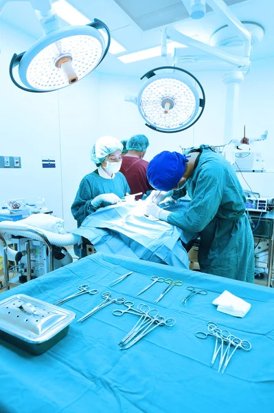 Groep van dierenarts chirurgie in operatie kamer — Stockfoto