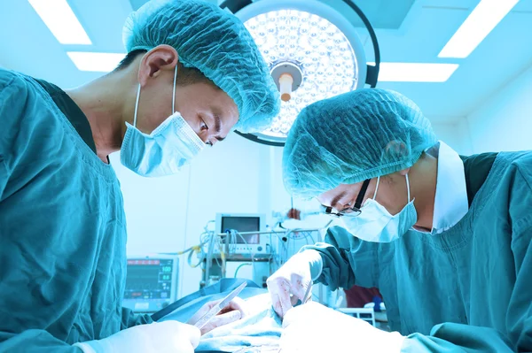 Dois cirurgiões veterinários na sala de operações — Fotografia de Stock