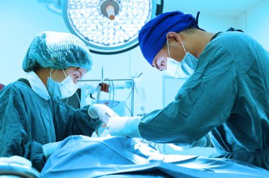 Ameliyathanede iki veteriner cerrah var. 