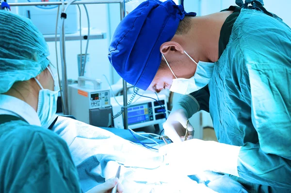 Dois cirurgiões veterinários na sala de operações — Fotografia de Stock