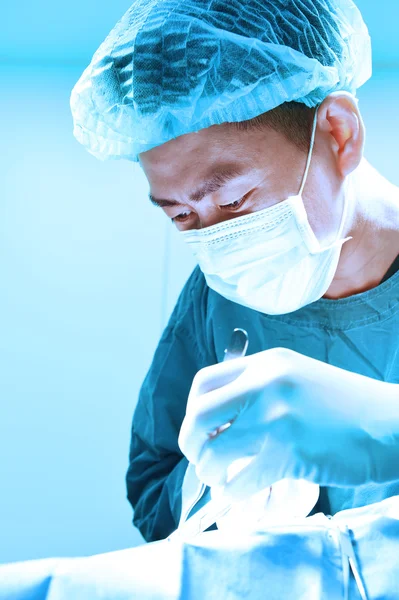 Chirurgie veterinară în sala de operații — Fotografie, imagine de stoc