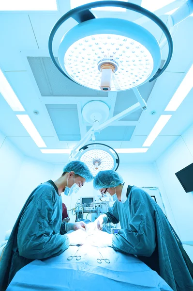 Dois cirurgiões veterinários na sala de operações — Fotografia de Stock