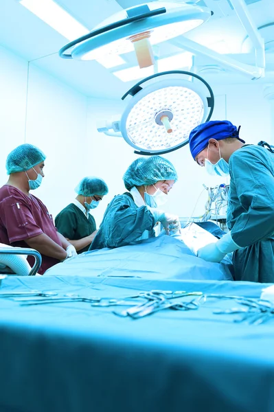 Groep van dierenarts chirurgie in operatie kamer — Stockfoto