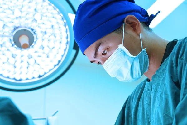 Veteriner Cerrahi operasyon odasında — Stok fotoğraf