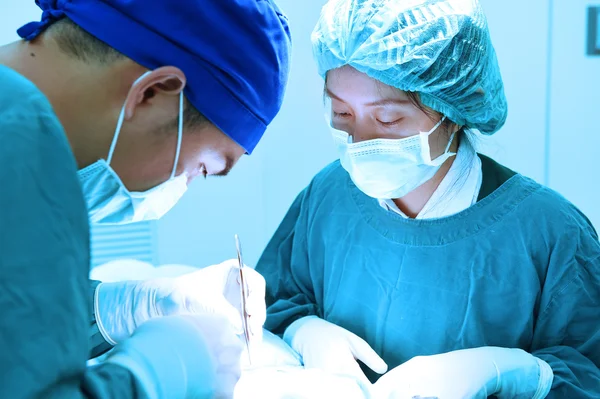 Two veterinarian surgeons in operating room — Stock Photo, Image