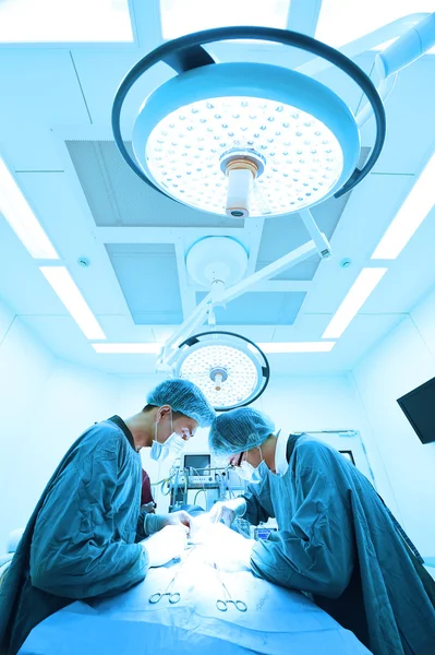 Dois cirurgiões veterinários na sala de operações — Fotografia de Stock