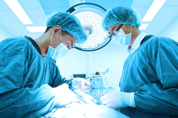 Two veterinarian surgeons in operating room — Stock Photo, Image