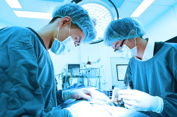 Dois cirurgiões veterinários na sala de operações — Fotografia de Stock