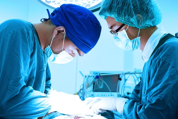 Dois cirurgiões veterinários na sala de operações — Fotografia de Stock