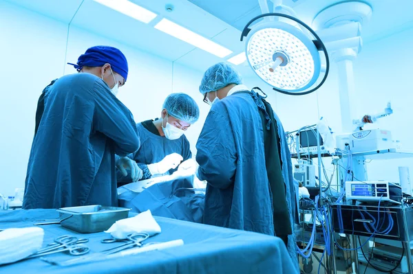 Groep van dierenarts chirurgie in operatie kamer — Stockfoto