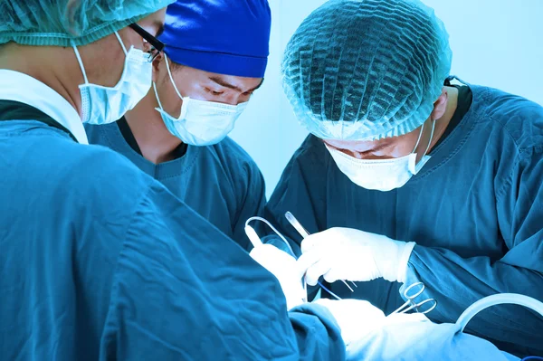 Group of veterinarian surgery in operation room — Stock Photo, Image