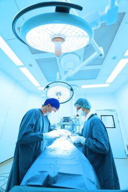 Ameliyathanede iki veteriner cerrah var. 