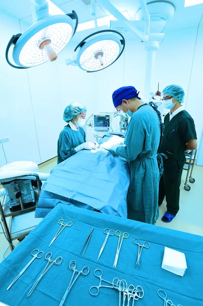 Groep van dierenarts chirurgie in operatie kamer — Stockfoto