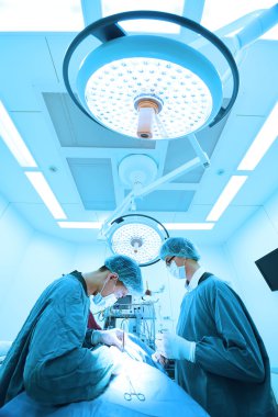 Ameliyathanede iki veteriner cerrah var. 