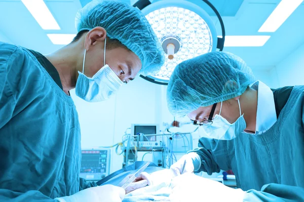 Dois cirurgiões veterinários na sala de operações — Fotografia de Stock