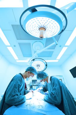 Ameliyathanede iki veteriner cerrah var. 