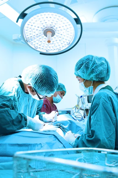 Group of veterinarian surgery in operation room — Stock Photo, Image