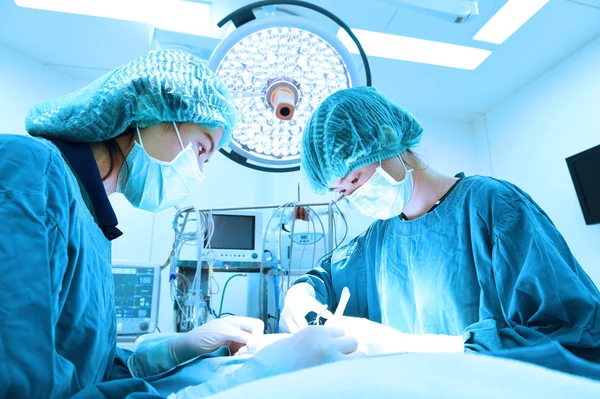 Dois cirurgiões veterinários na sala de operações — Fotografia de Stock