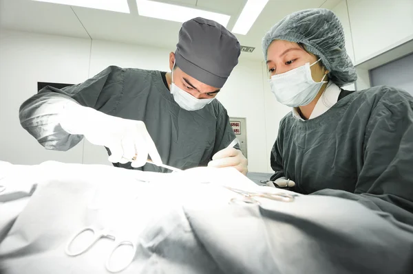 Two veterinarian surgeons in operating room — Stock Photo, Image