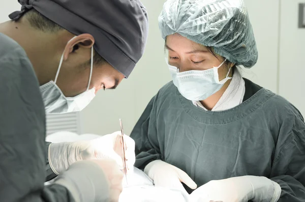 Two veterinarian surgeons in operating room — Stock Photo, Image