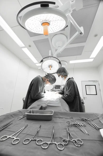 Dois cirurgiões veterinários na sala de operações — Fotografia de Stock