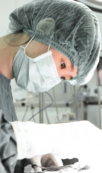 Chirurgie vétérinaire en salle d'opération — Photo