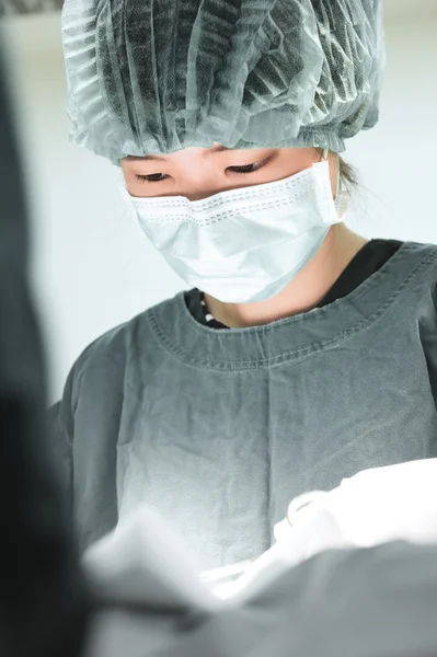 Weterynarz Chirurgia w serwerowni — Zdjęcie stockowe