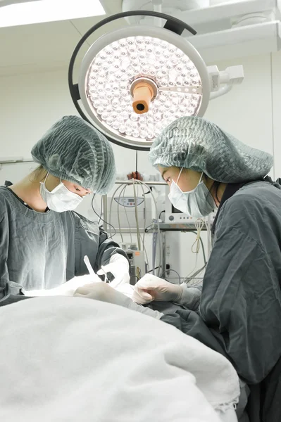 Two veterinarian surgeons in operating room — Stock Photo, Image